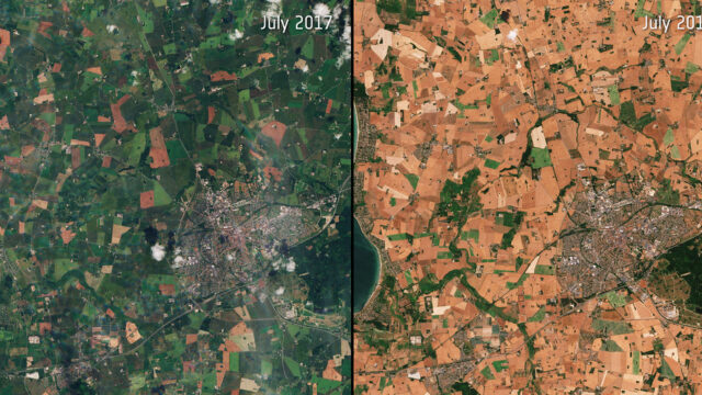Is Europes Summer Drought Threatens Fish In Rivers…