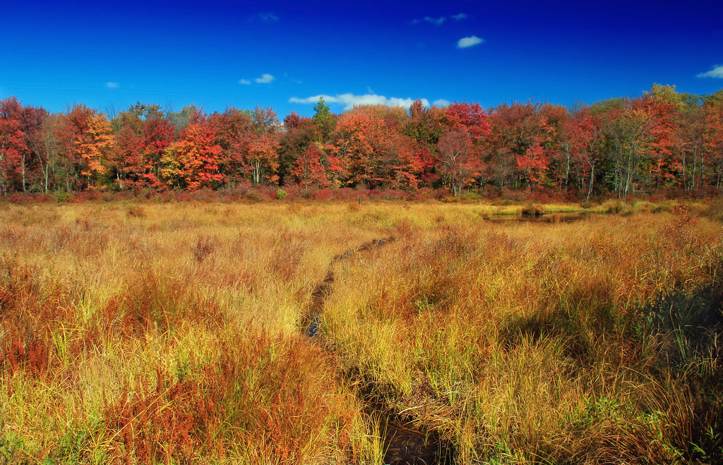 Why Everyone Talks About Monroe County Small Business…